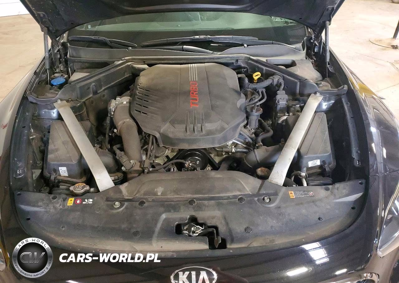 2021 Kia Stinger Gt1 VIN:KNAE45LC4M6094736 - 11