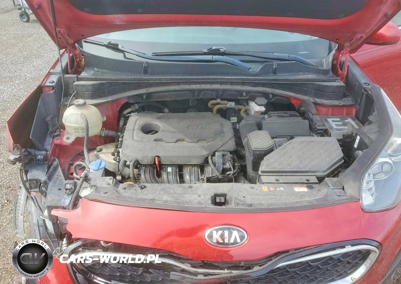 2021 Kia Sportage Lx VIN:KNDPM3AC3M7845869 - 12