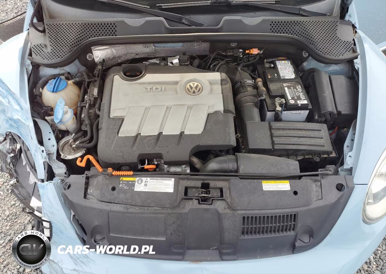 2013 Volkswagen Beetle VIN:3VWJL7AT2DM654382 - 11