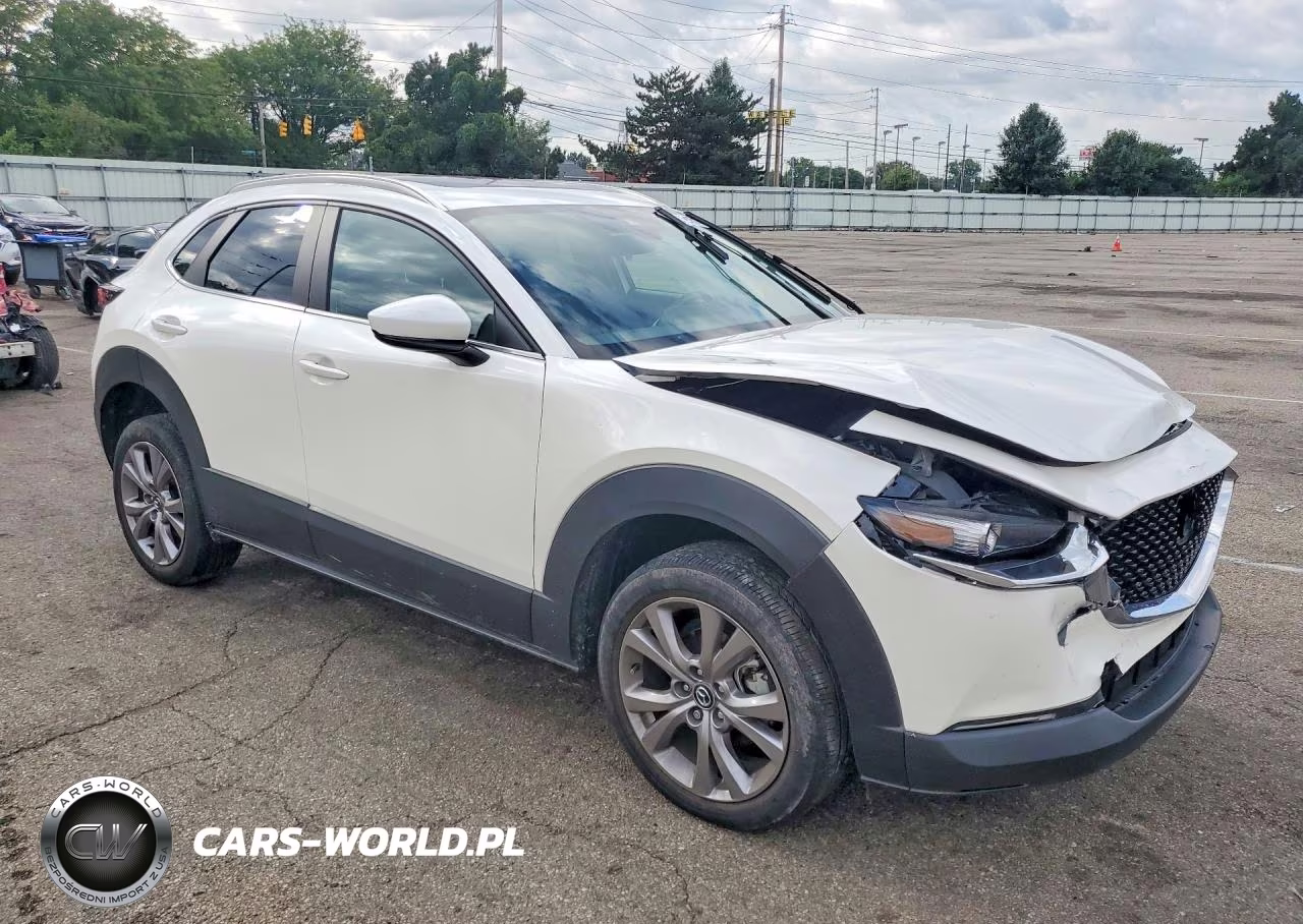 2022 Mazda Cx-30 Preferred VIN:3MVDMBCLXNM412209 - 4