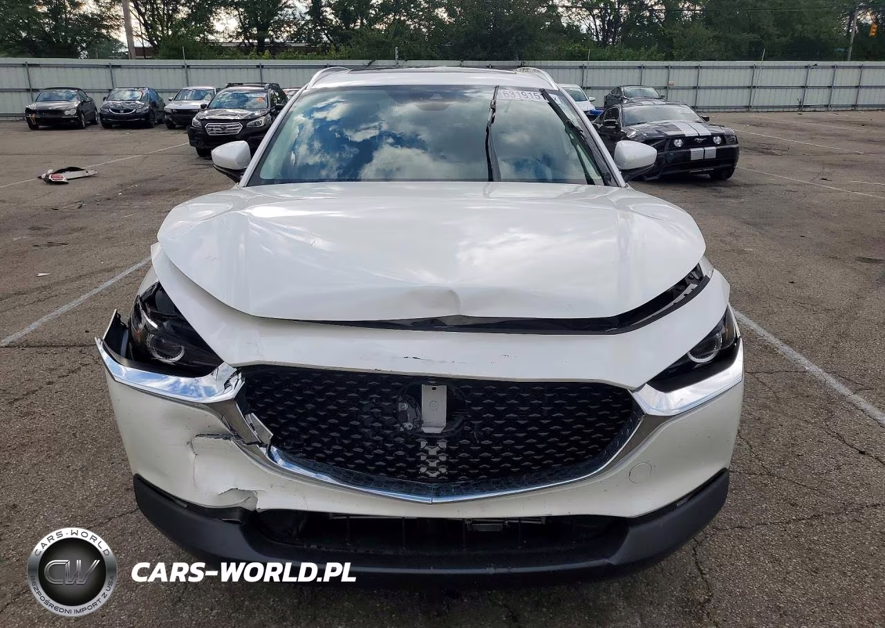 2022 Mazda Cx-30 Preferred VIN:3MVDMBCLXNM412209 - 5