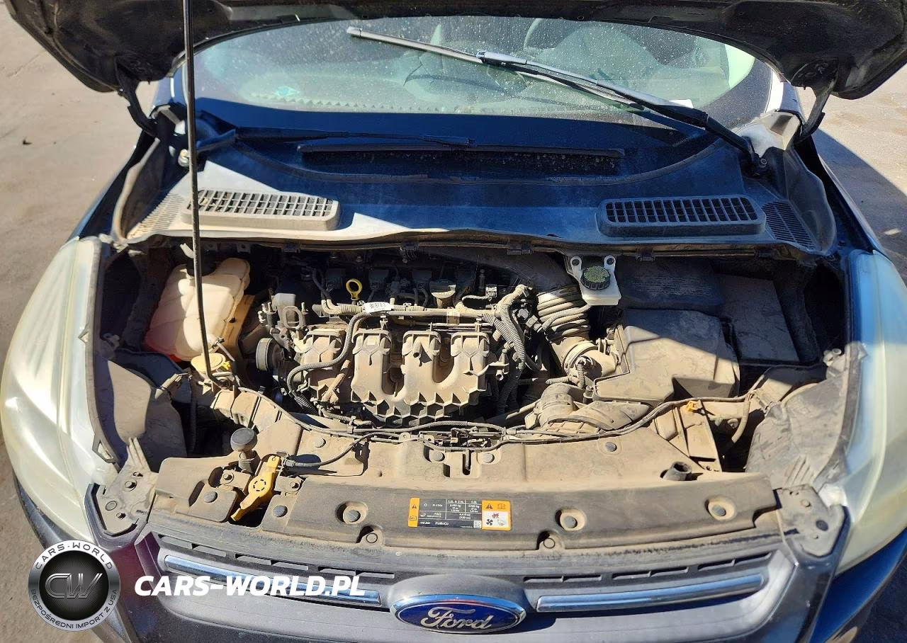 2014 Ford Escape Se VIN:1FMCU0G93EUA23161 - 12