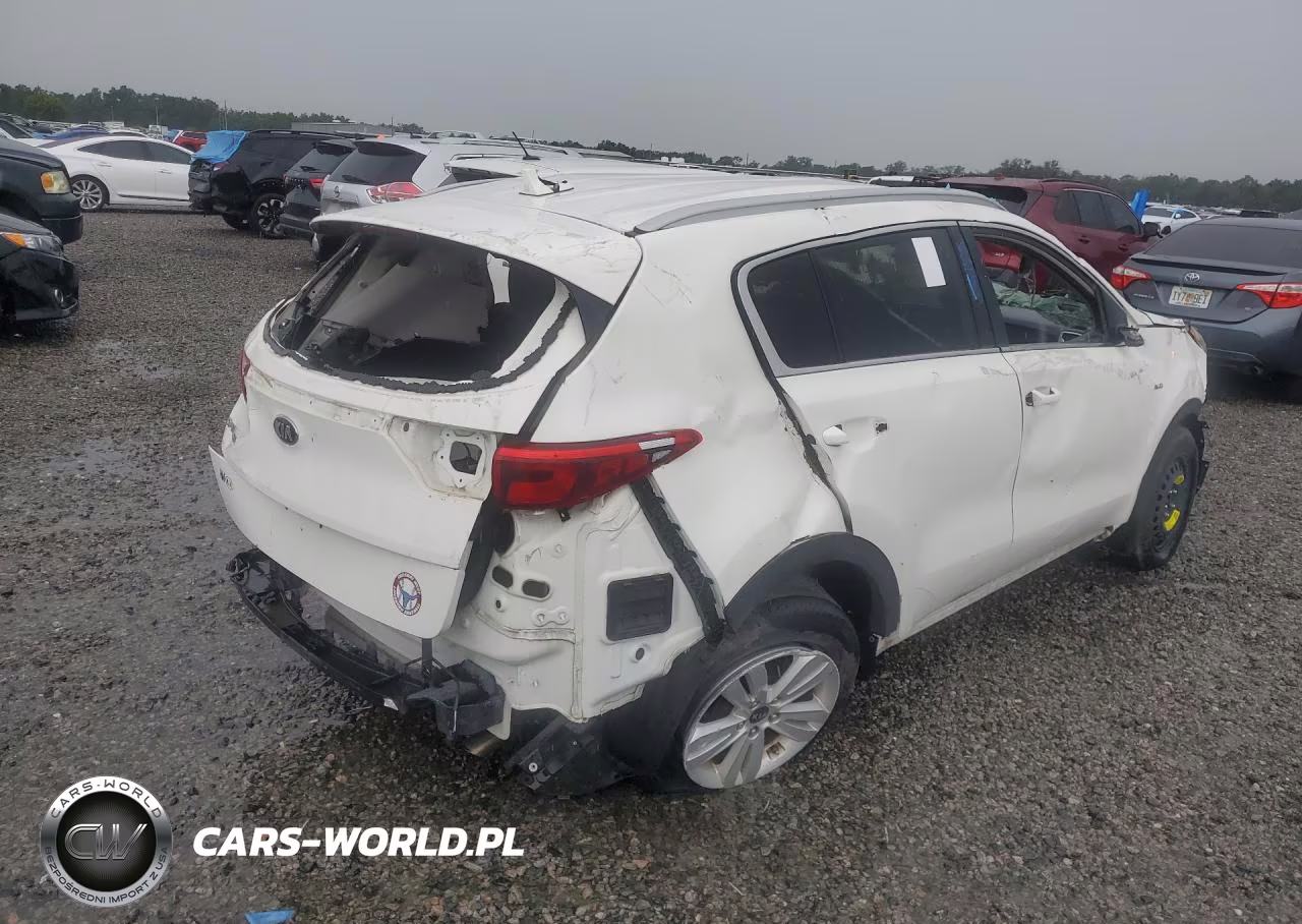 2019 Kia Sportage Lx VIN:KNDPMCAC1K7541873 - 3