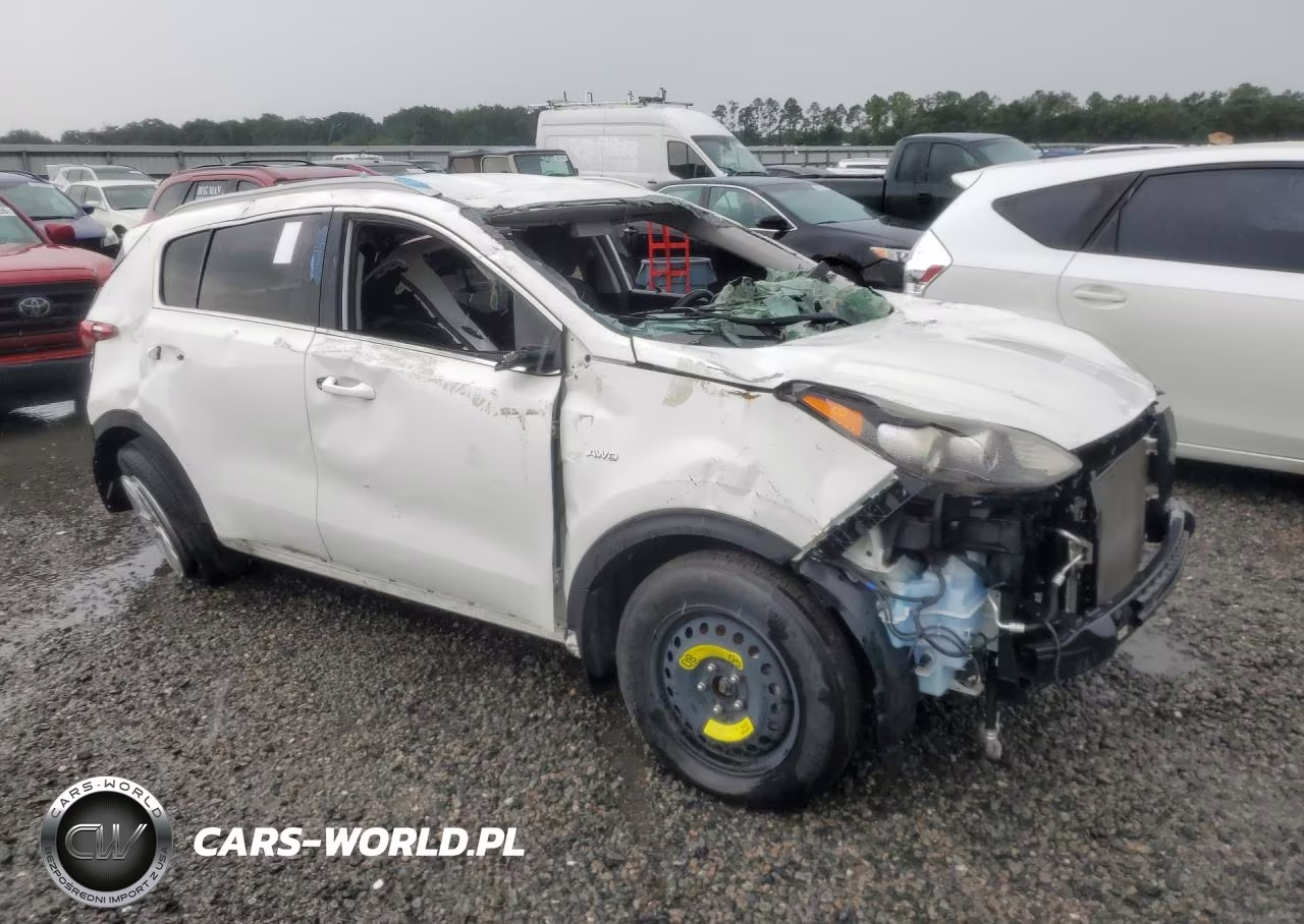 2019 Kia Sportage Lx VIN:KNDPMCAC1K7541873 - 4