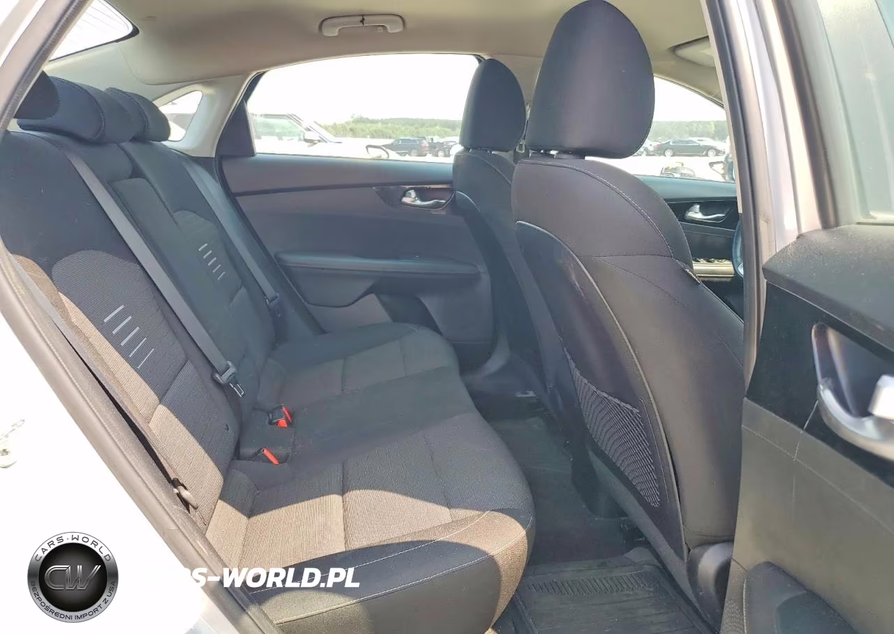 2019 Kia Forte S VIN:3KPF34AD9KE016251 - 10