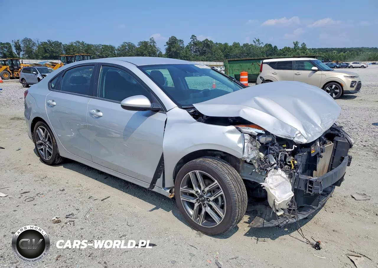 2019 Kia Forte S VIN:3KPF34AD9KE016251 - 4