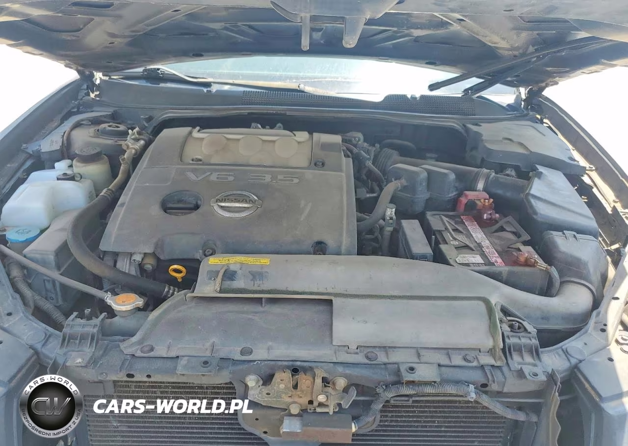 2006 Nissan Maxima 3.5 Se VIN:1N4BA41E06C820227 - 11