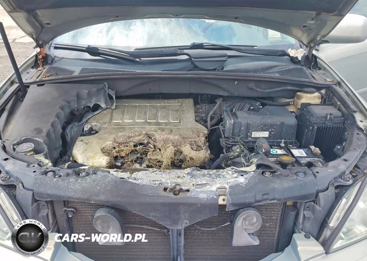 2009 Lexus Rx 350 VIN:2T2GK31U89C058495 - 11