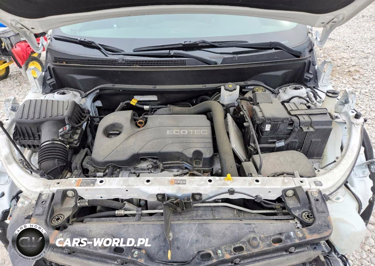 2019 Chevrolet Equinox Lt VIN:2GNAXKEV3K6266453 - 12