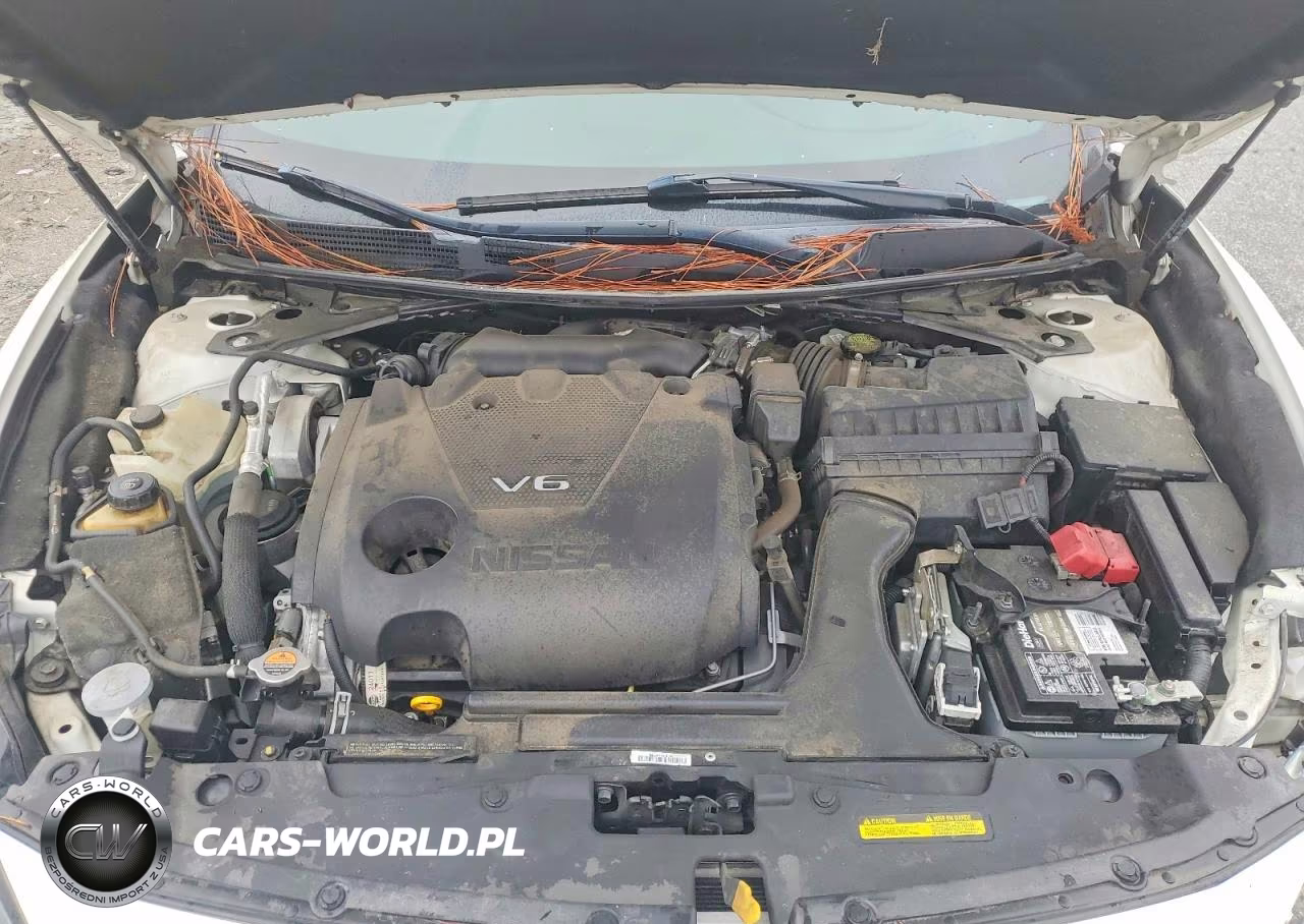 2021 Nissan Maxima Sr VIN:1N4AA6EV4MC508815 - 11