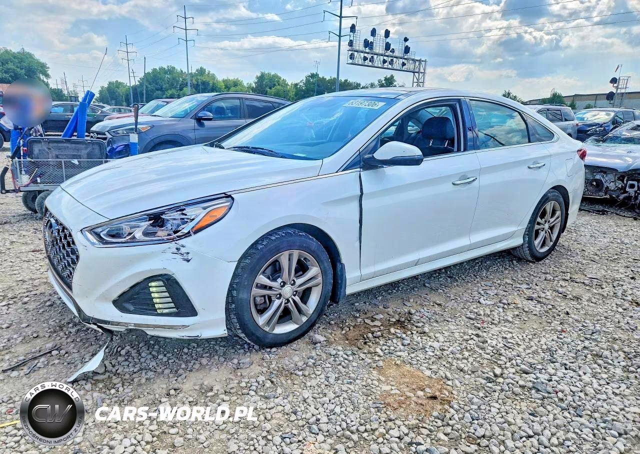 2019 Hyundai Sonata Limited VIN:5NPE34AF1KH816132 - 1