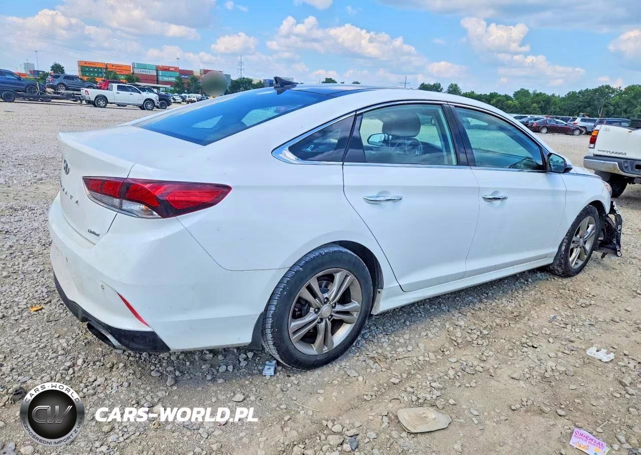 2019 Hyundai Sonata Limited VIN:5NPE34AF1KH816132 - 3