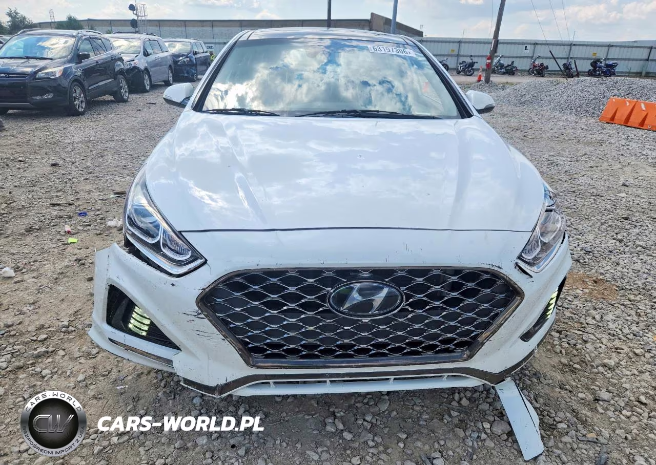 2019 Hyundai Sonata Limited VIN:5NPE34AF1KH816132 - 5