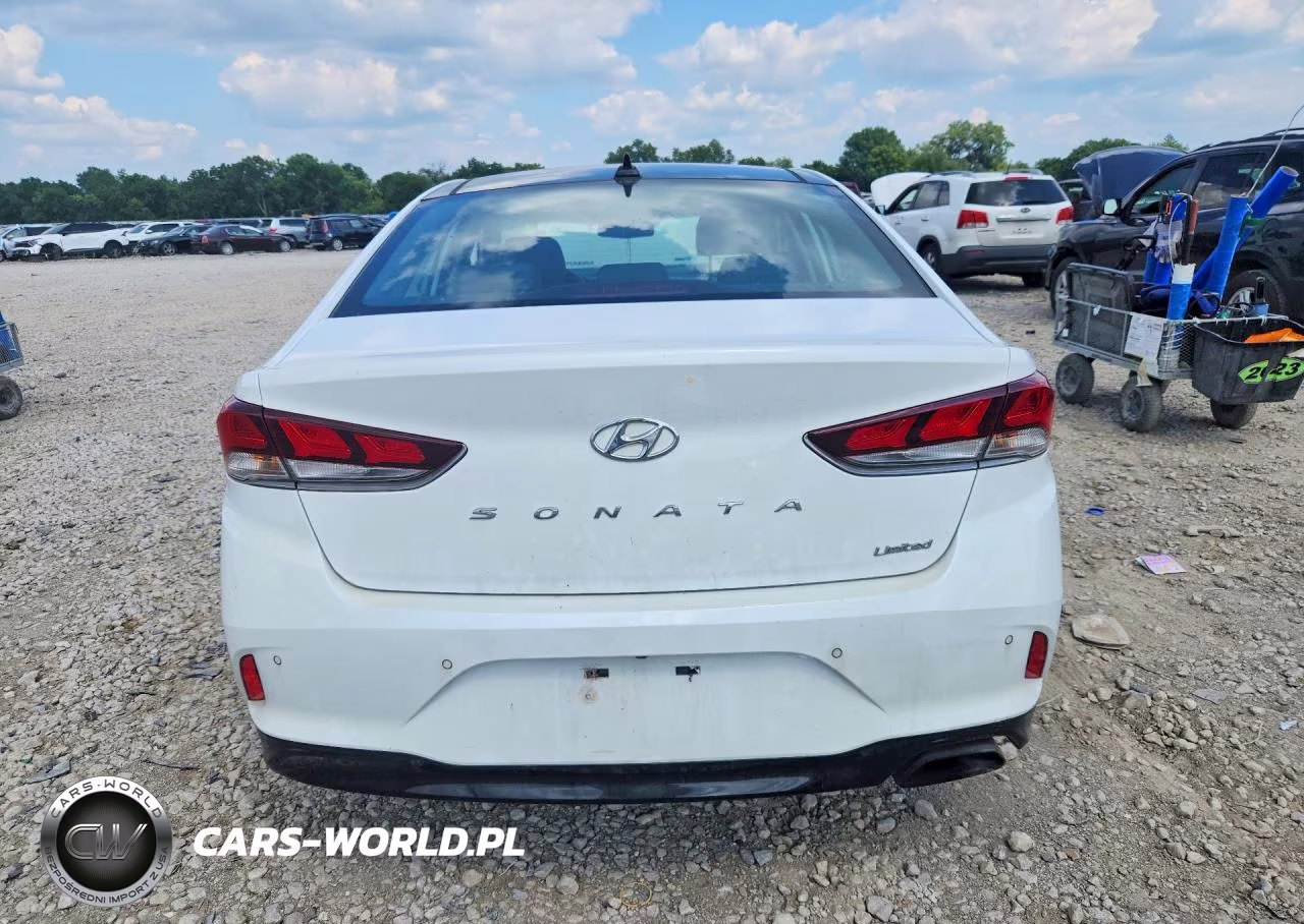 2019 Hyundai Sonata Limited VIN:5NPE34AF1KH816132 - 6