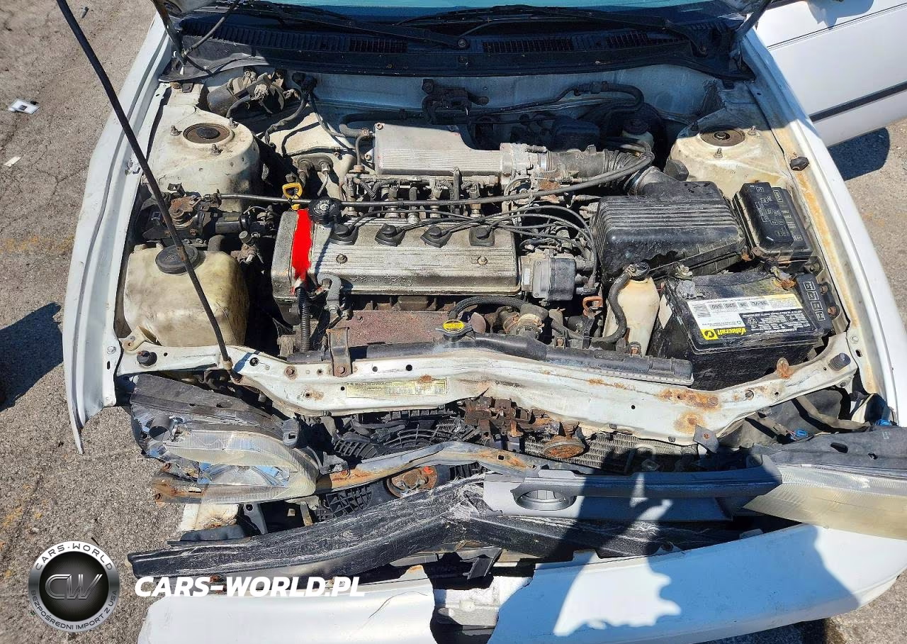 1995 Toyota Corolla Dx VIN:1NXAE09B6SZ326659 - 11