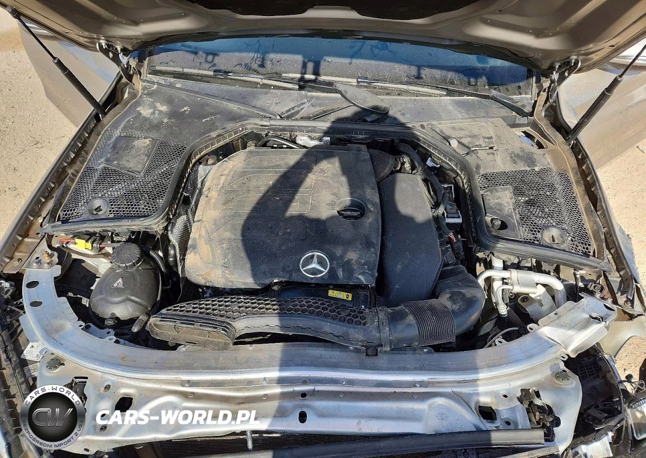 2019 Mercedes-Benz C 300 VIN:55SWF8DB9KU319032 - 11