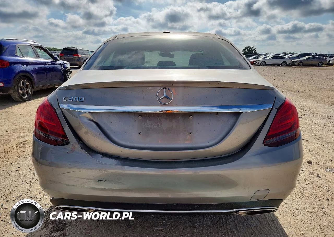 2019 Mercedes-Benz C 300 VIN:55SWF8DB9KU319032 - 6