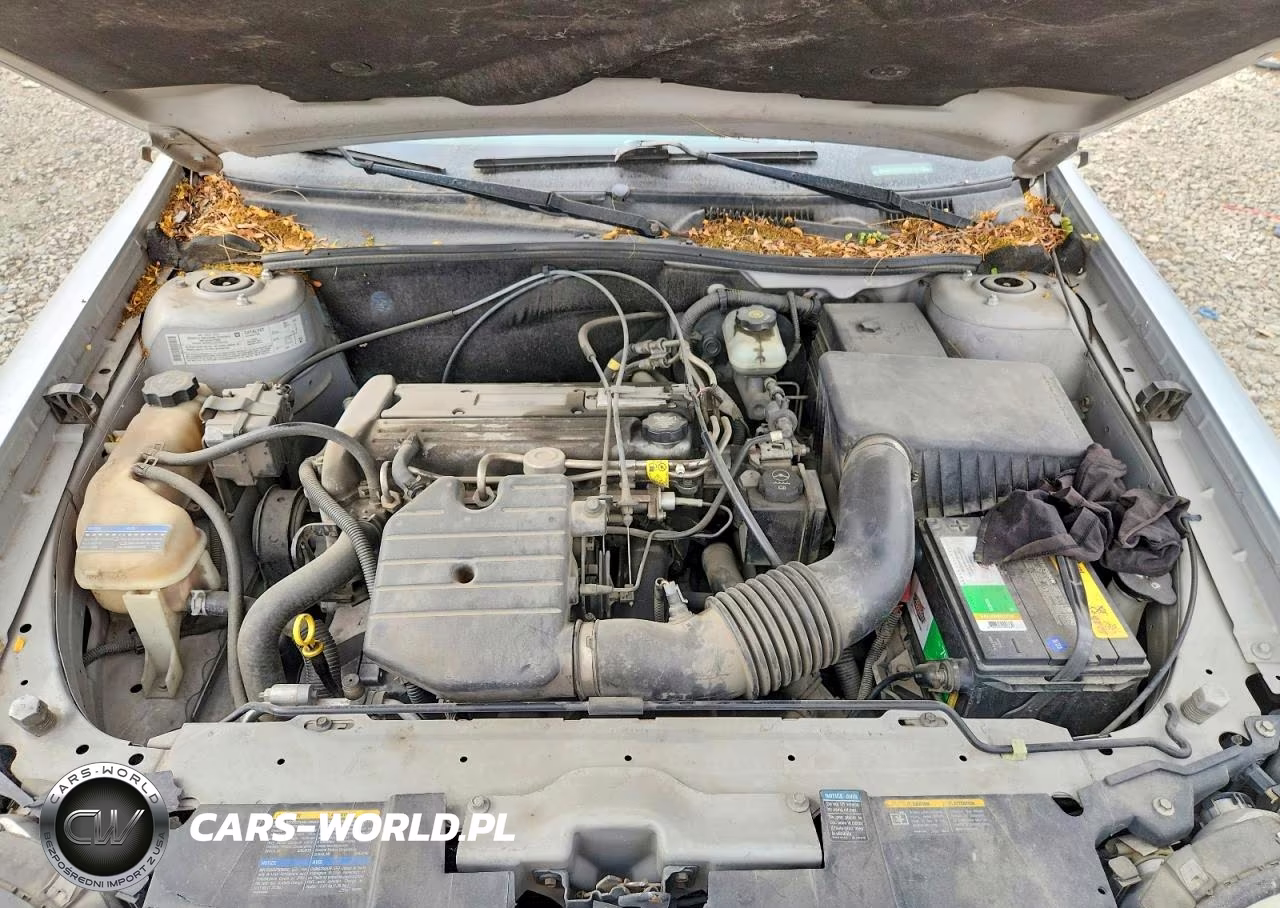 2005 Chevrolet Classic VIN:1G1ND52F65M176603 - 11