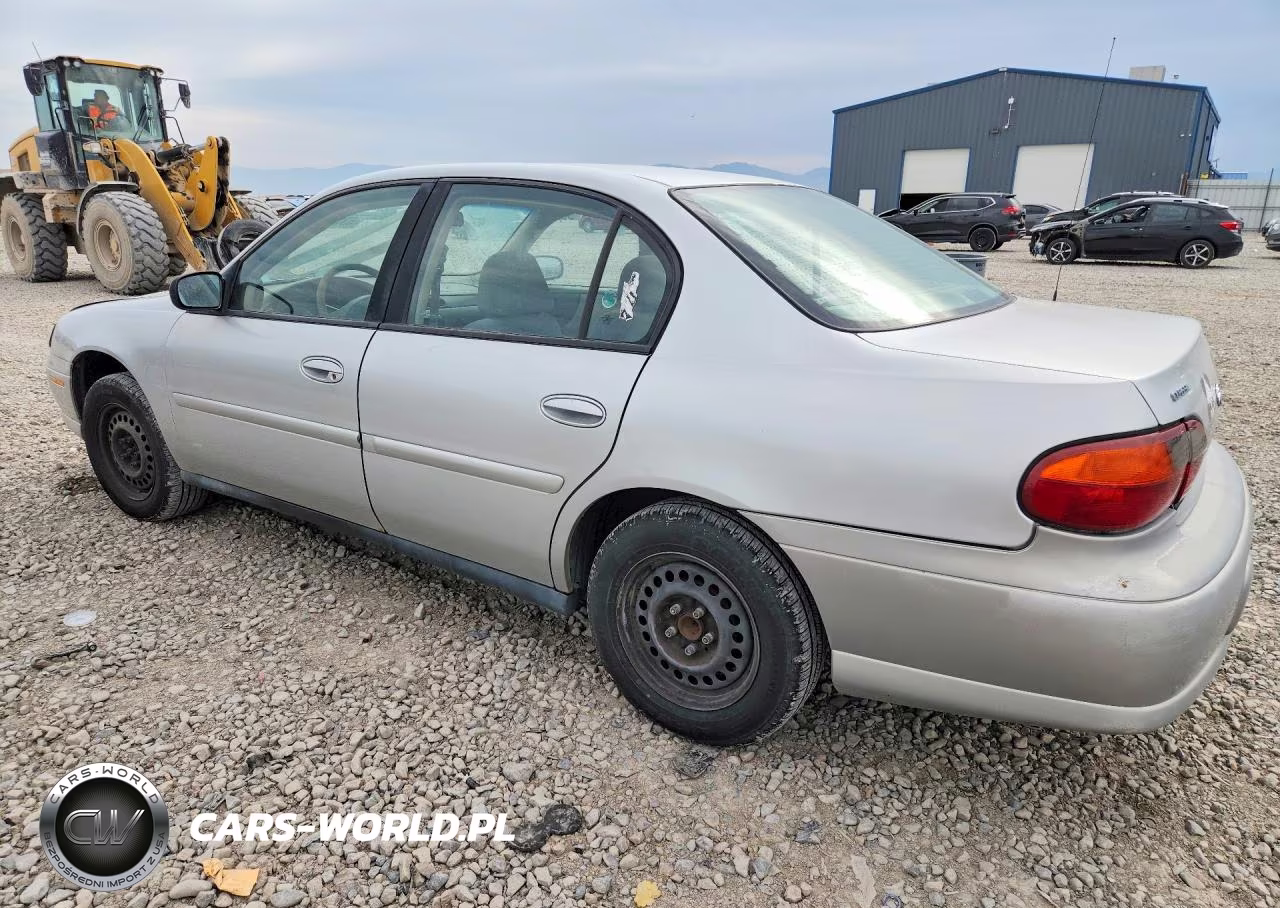2005 Chevrolet Classic VIN:1G1ND52F65M176603 - 2