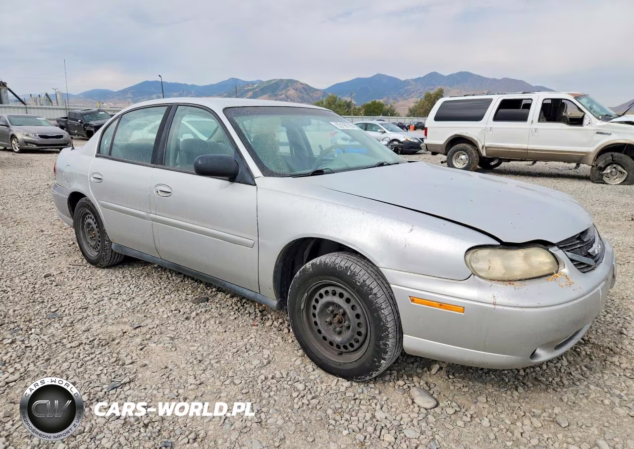2005 Chevrolet Classic VIN:1G1ND52F65M176603 - 4
