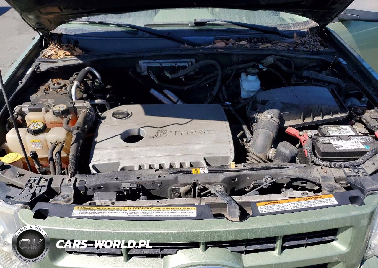 2009 Ford Escape Hybrid VIN:1FMCU49389KB25721 - 11
