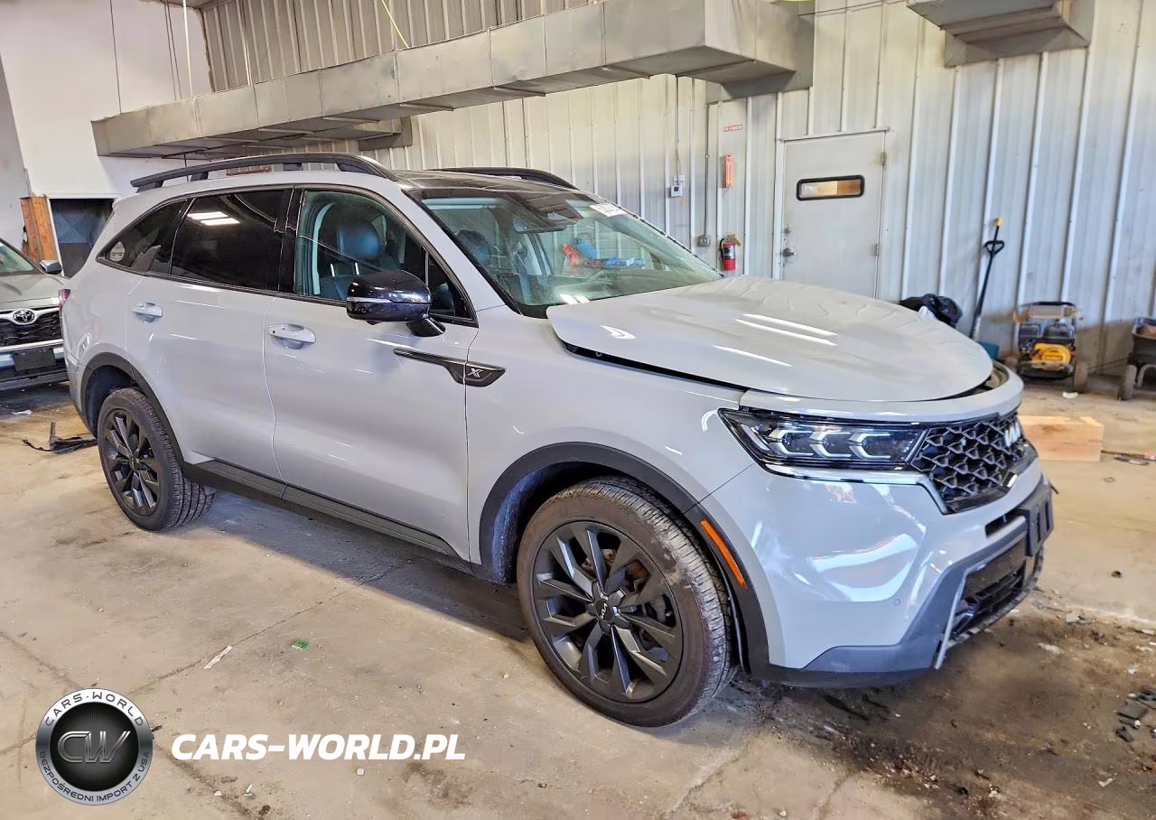 2022 Kia Sorento X-Line Sx Prestige VIN:5XYRKDLF6NG090894 - 4