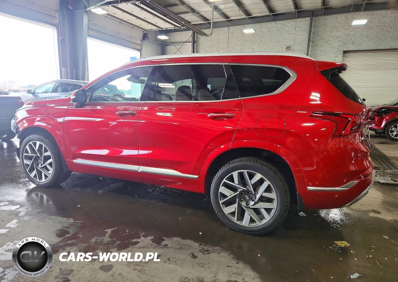 2021 Hyundai Santa Fe Calligraphy VIN:5NMS5DAL5MH357013 - 2