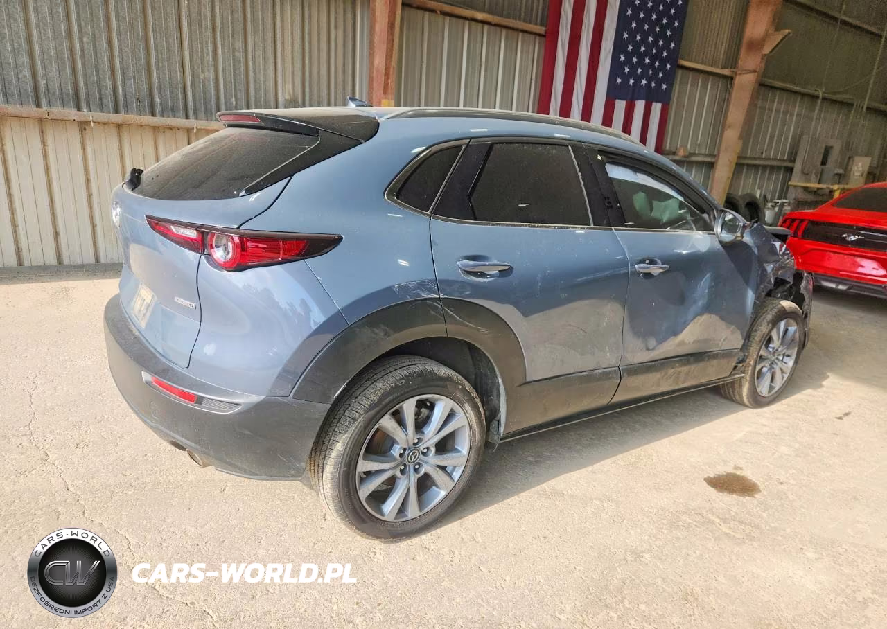 2021 Mazda Cx-30 Premium VIN:3MVDMBDL5MM314251 - 3