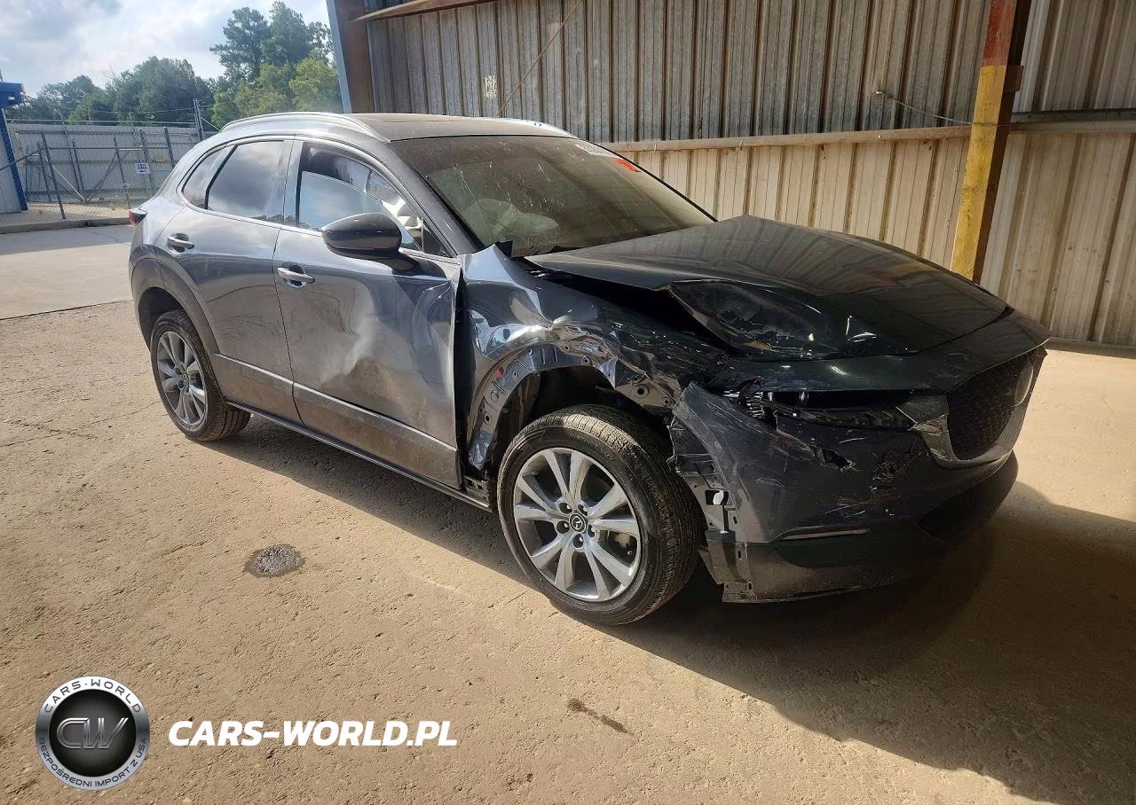 2021 Mazda Cx-30 Premium VIN:3MVDMBDL5MM314251 - 4