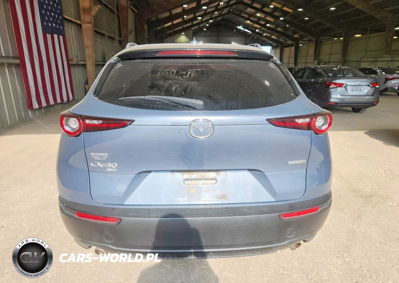 2021 Mazda Cx-30 Premium VIN:3MVDMBDL5MM314251 - 6
