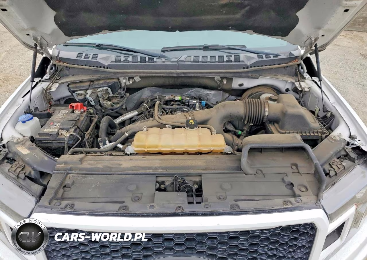 2020 Ford F150 Supercrew VIN:1FTEW1CP9LFC67027 - 11