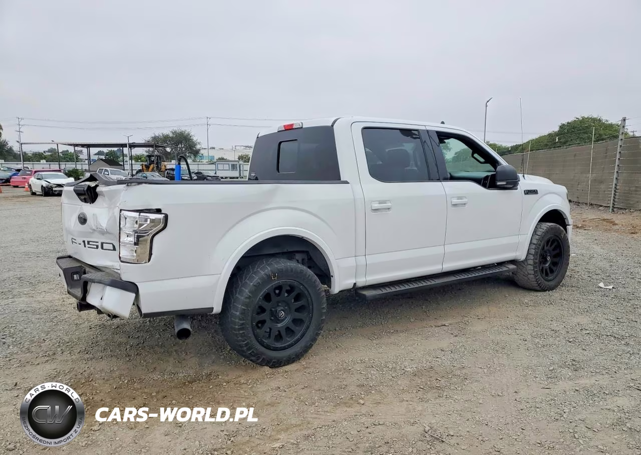 2020 Ford F150 Supercrew VIN:1FTEW1CP9LFC67027 - 3