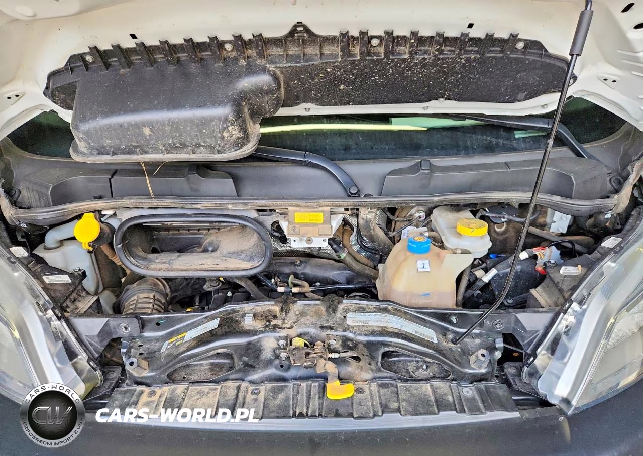2025 Ram Promaster 2500 2500 High VIN:3C6LRVCG5SE512010 - 12