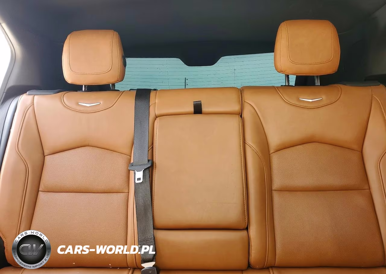 2019 Cadillac Xt4 Premium Luxury VIN:1GYFZDR48KF118059 - 10