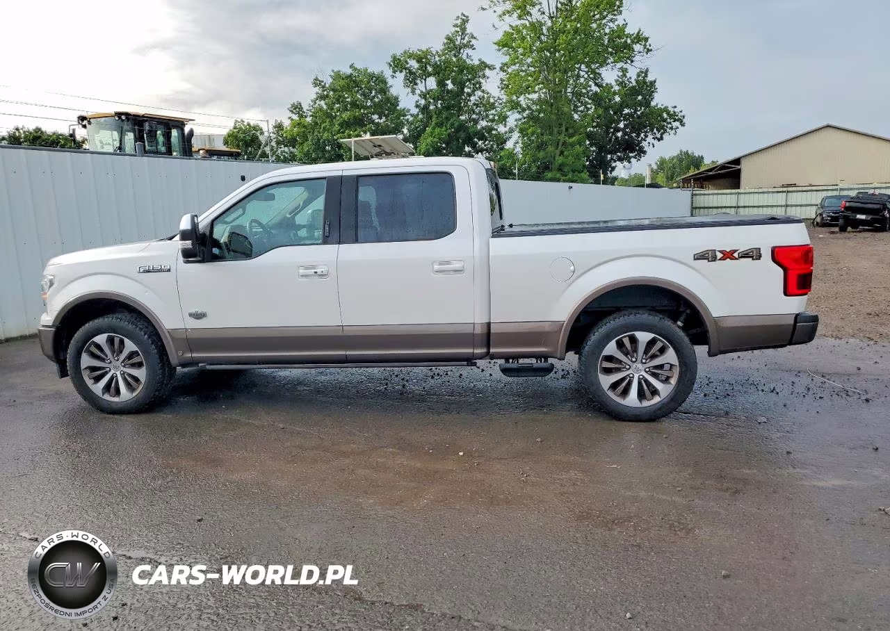 2019 Ford F-150 King Ranch VIN:1FTFW1E49KFC74775 - 12