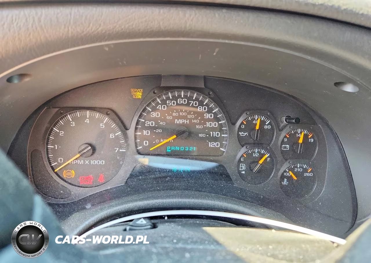 2004 Chevrolet Trailblazer Ls VIN:1GNDT13S242349898 - 9