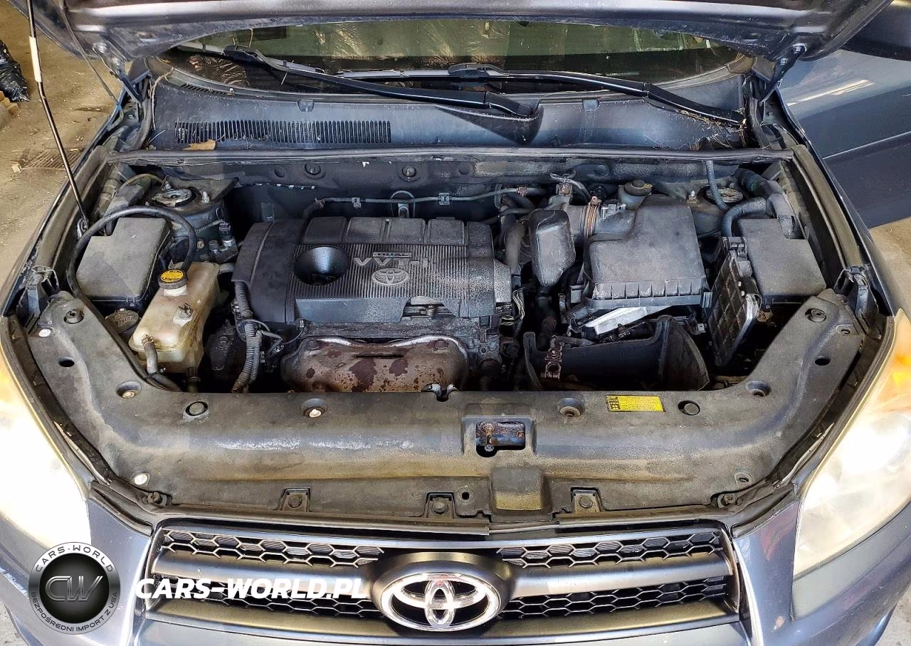 2009 Toyota Rav4 Base VIN:JTMBF33V49D020905 - 12