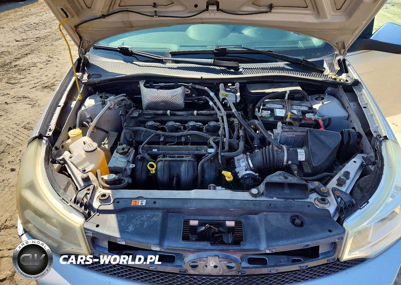 2011 Ford Focus Sel VIN:1FAHP3HN0BW135324 - 11