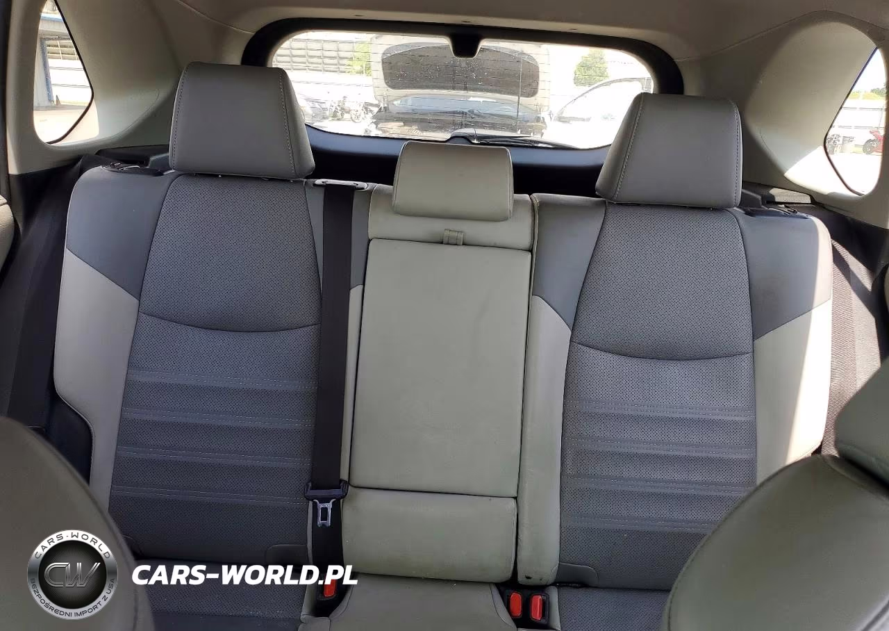 2019 Toyota Rav4 Limited VIN:JTMDWRFV9KD518742 - 10
