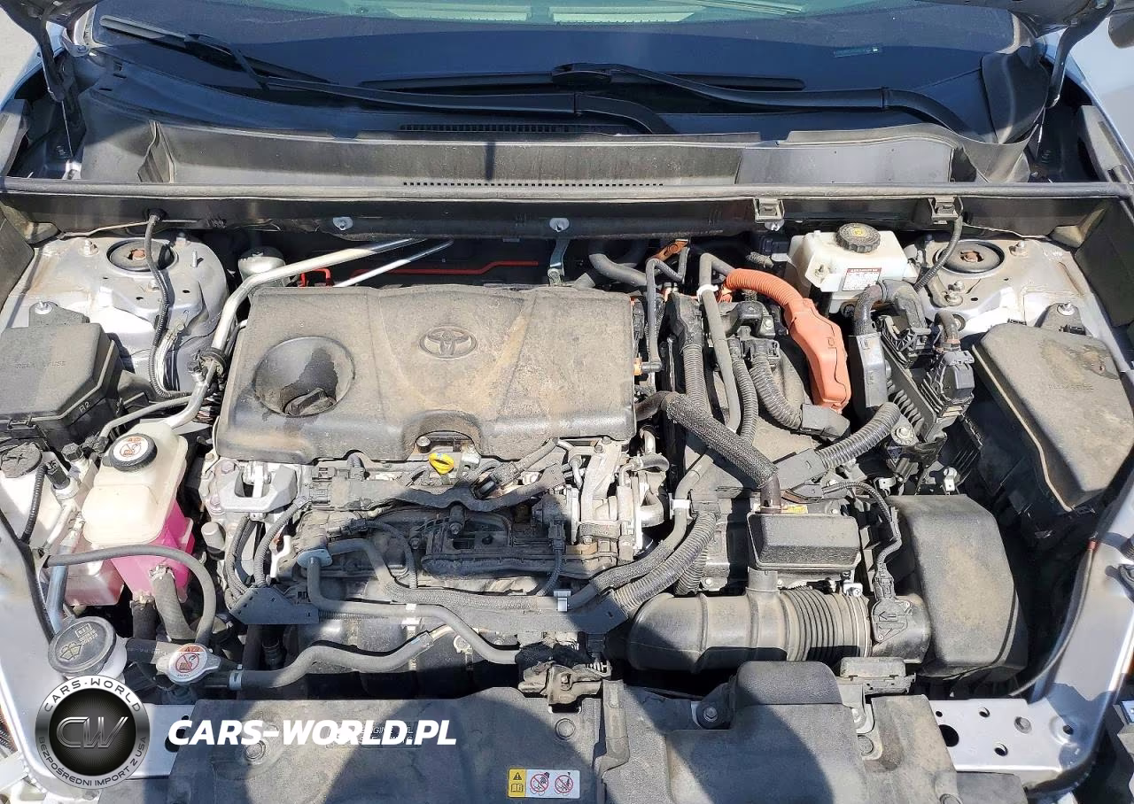 2019 Toyota Rav4 Limited VIN:JTMDWRFV9KD518742 - 12