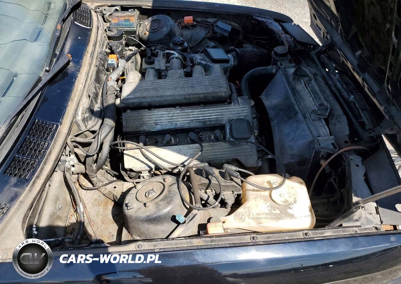 1991 BMW 318 Is VIN:WBAAF9319MEE72976 - 11