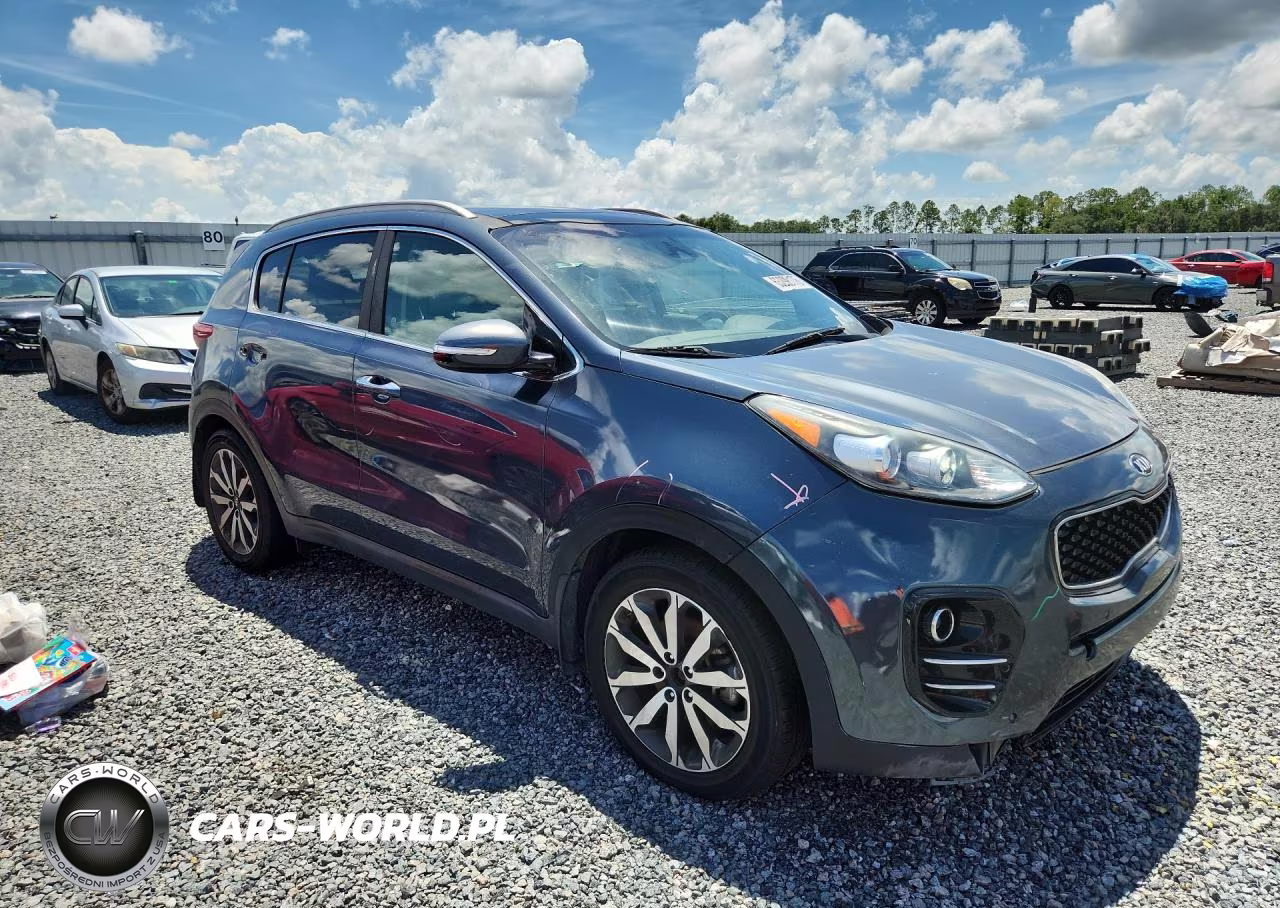 2017 Kia Sportage Ex VIN:KNDPN3AC2H7155291 - 4