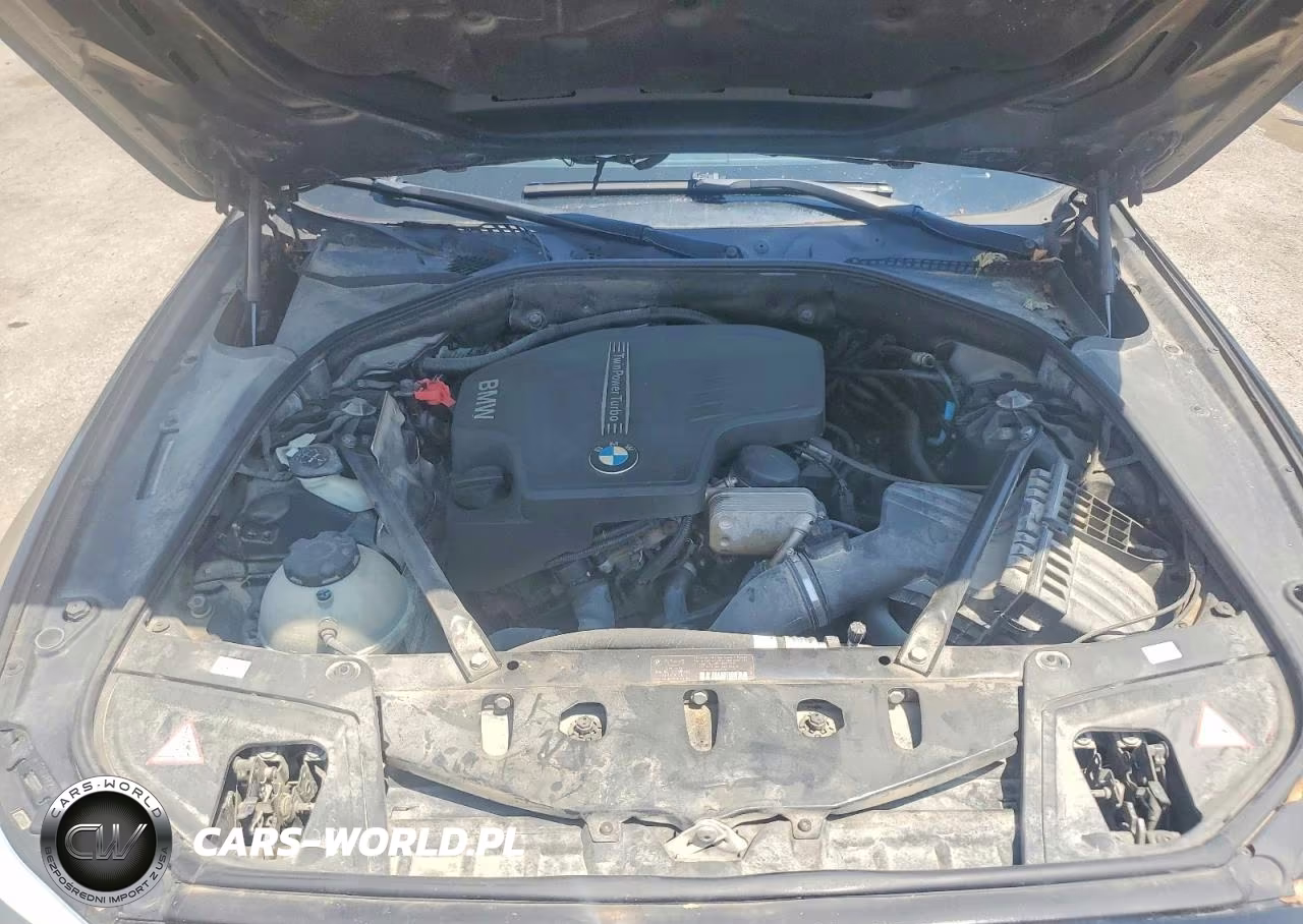 2012 BMW 528 Xi VIN:WBAXH5C57CDW09608 - 11
