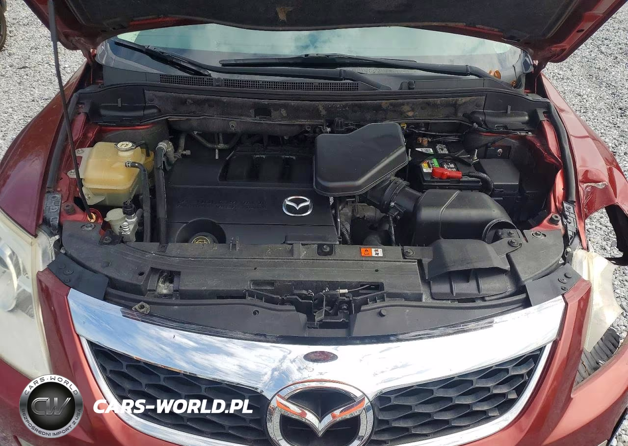 2010 Mazda Cx-9 VIN:JM3TB2MA5A0200323 - 12