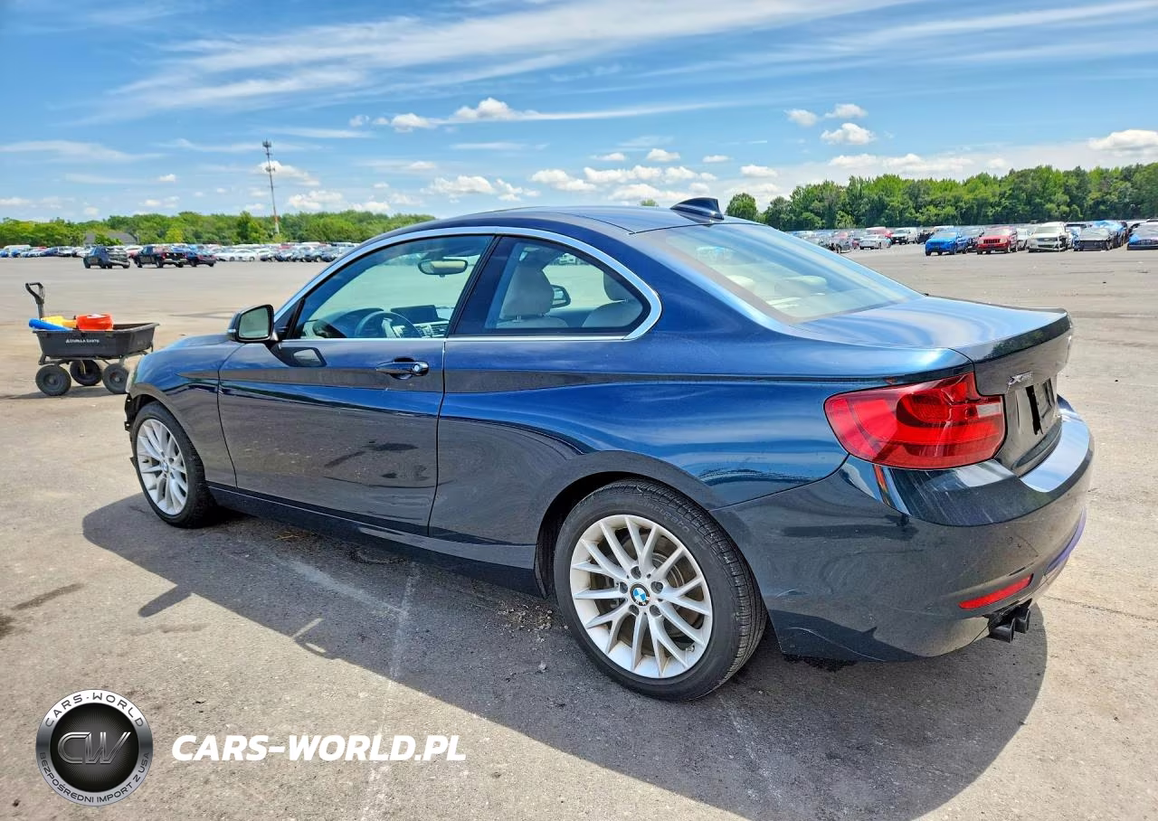2016 BMW 228 Xi Sulev VIN:WBA1G9C57GV598870 - 2