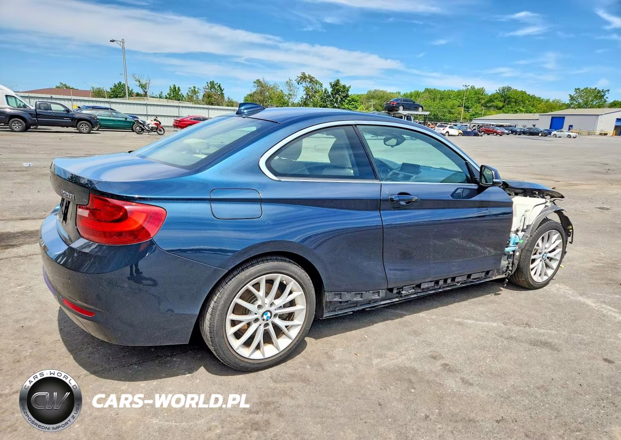 2016 BMW 228 Xi Sulev VIN:WBA1G9C57GV598870 - 3