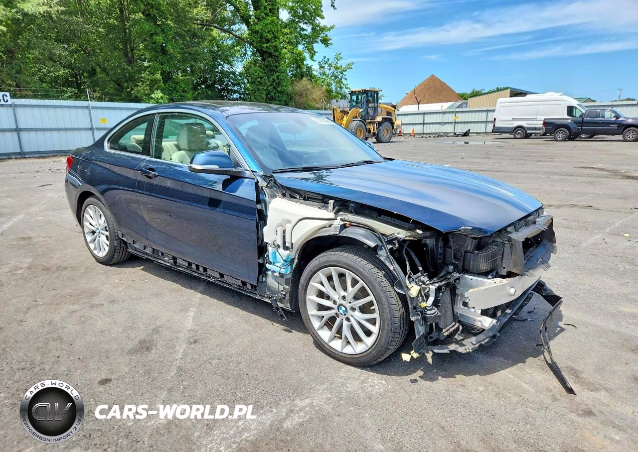 2016 BMW 228 Xi Sulev VIN:WBA1G9C57GV598870 - 4