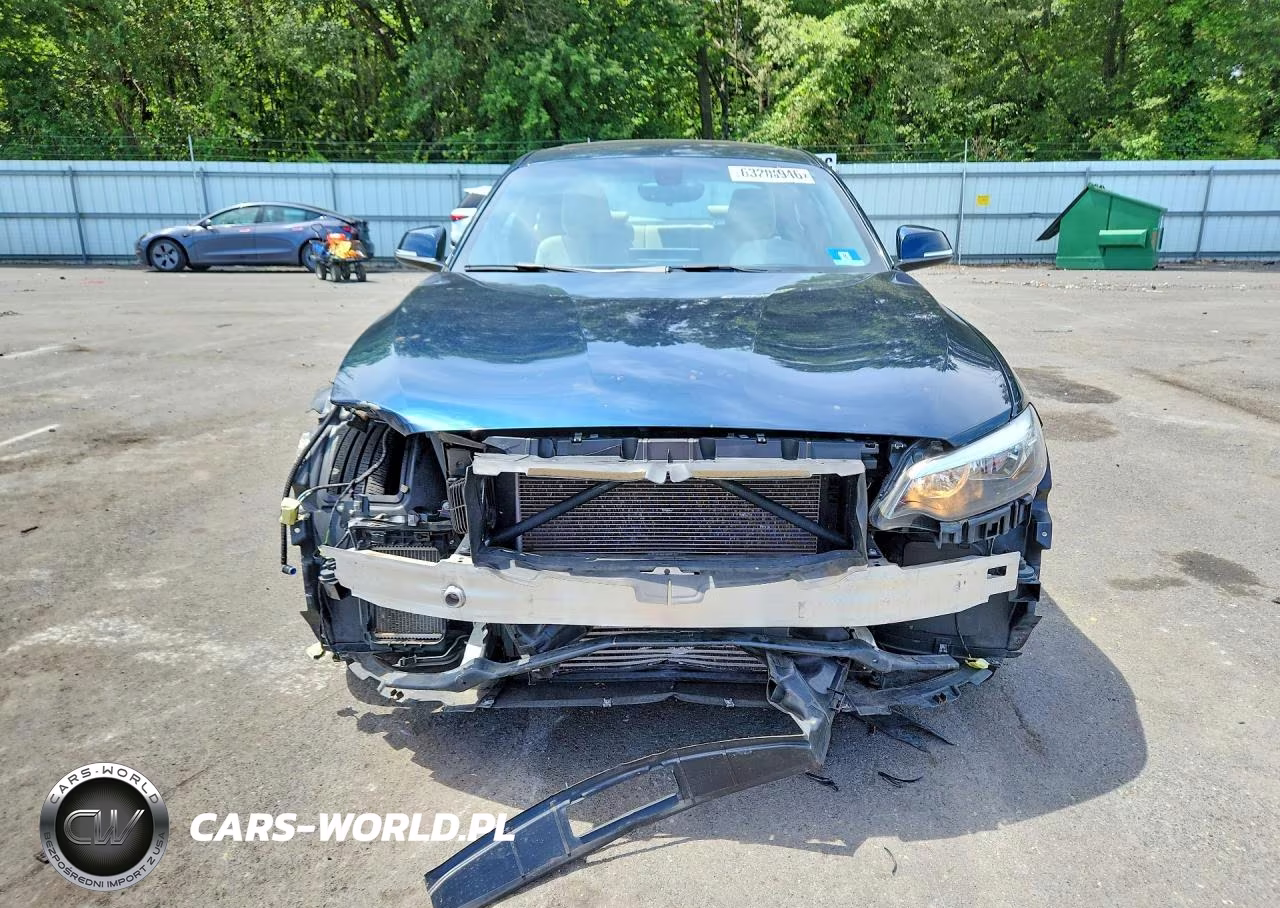 2016 BMW 228 Xi Sulev VIN:WBA1G9C57GV598870 - 5