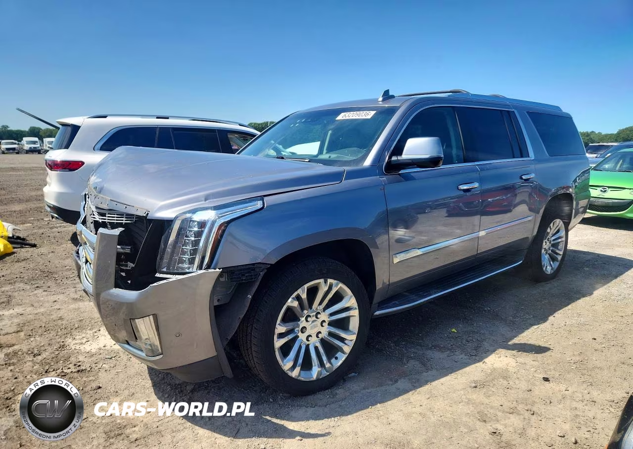 2019 Cadillac Escalade Esv Luxury VIN:1GYS4HKJ6KR318957 - 1