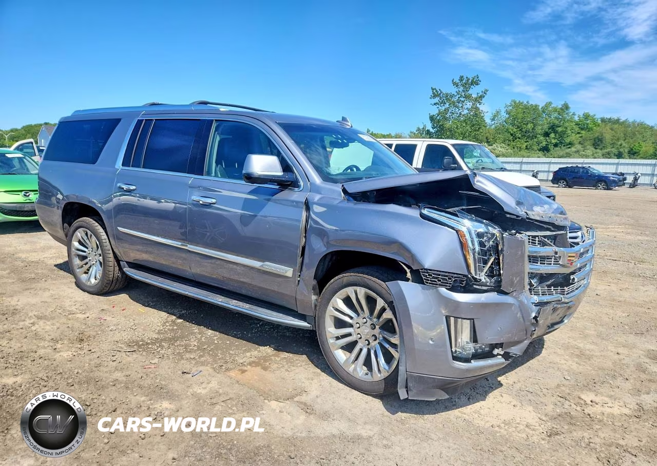 2019 Cadillac Escalade Esv Luxury VIN:1GYS4HKJ6KR318957 - 4